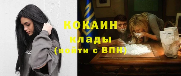 не бодяженный Арсеньев