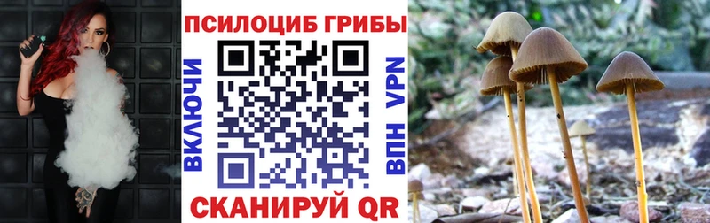 Галлюциногенные грибы прущие грибы  Купить где  Нягань 